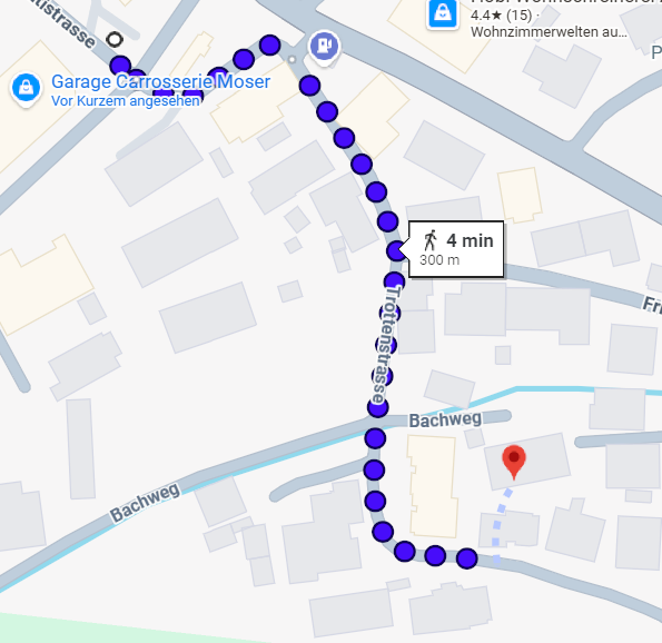 Maps Garage Moser - Trottenflohmi 2026